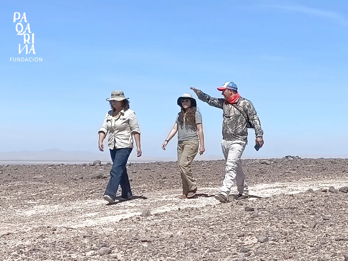 Recorrido en el salar del Desierto de Atacama